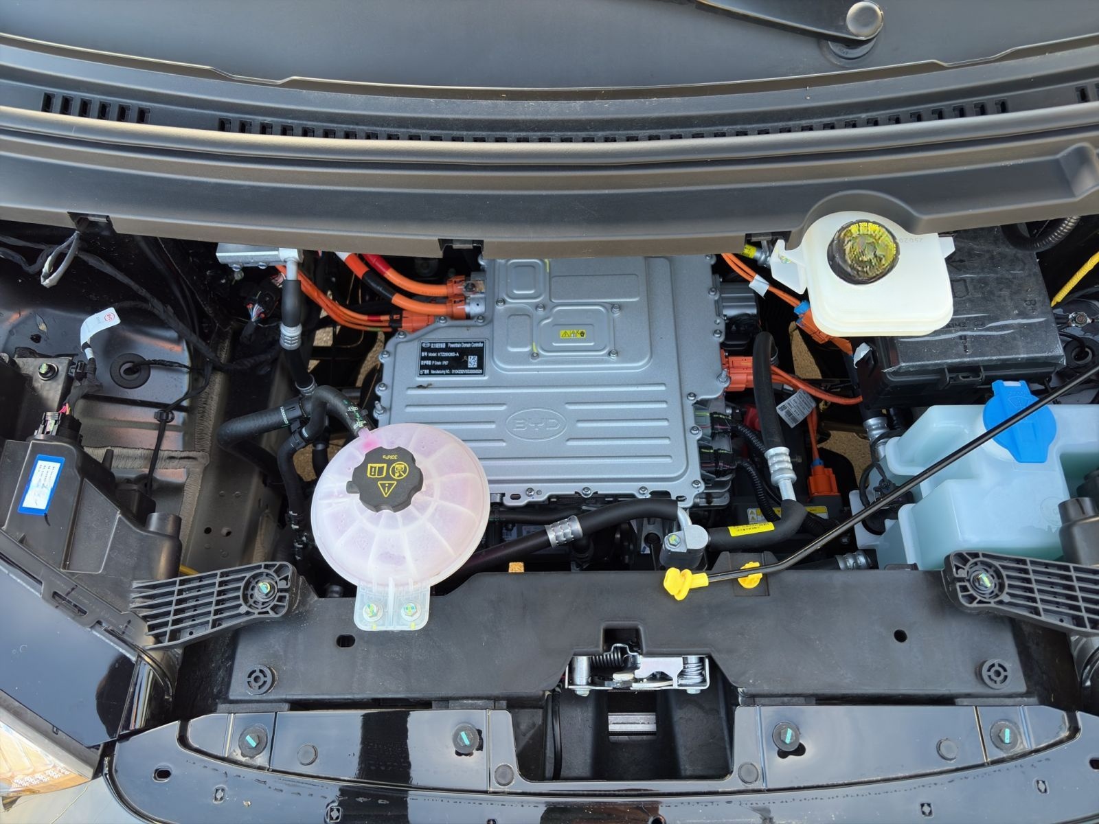 BYD Dolphin Surf Active foto 20