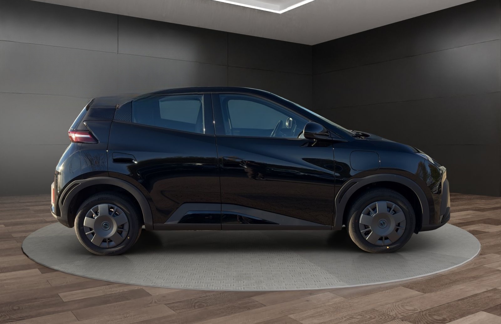 BYD Dolphin Surf Active foto 7