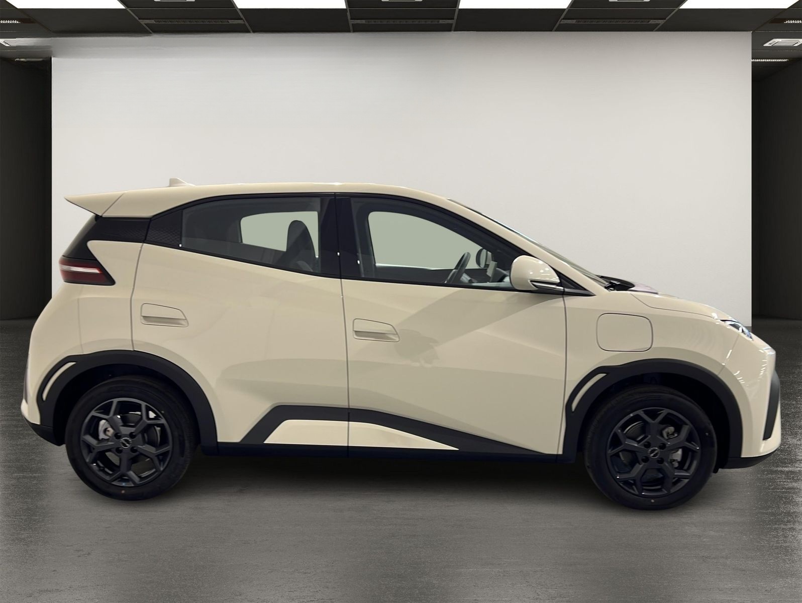 BYD Dolphin Surf Boost ACC | KAMERA | LEDER foto 12