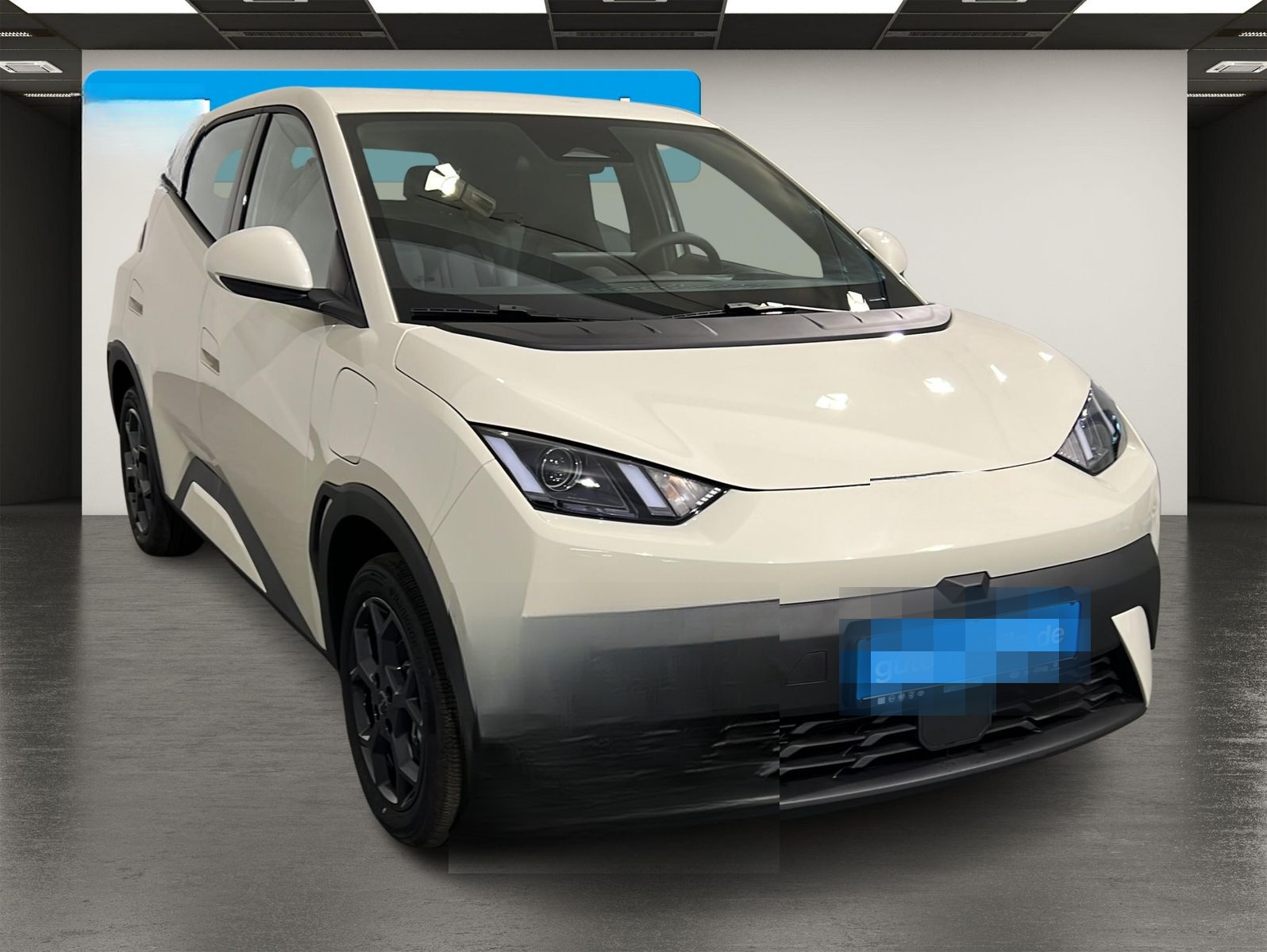 BYD Dolphin Surf Boost ACC | KAMERA | LEDER foto 14