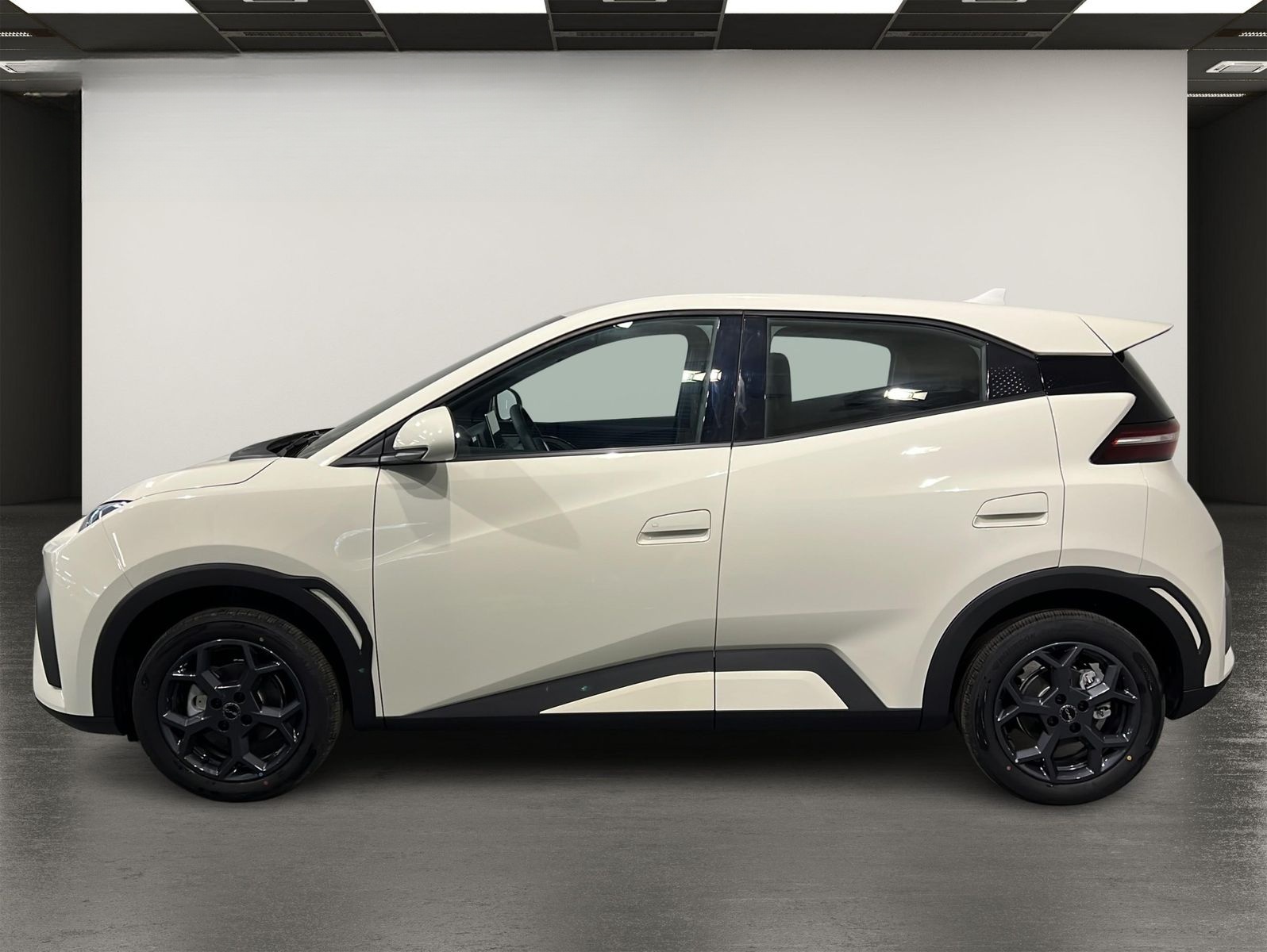 BYD Dolphin Surf Boost ACC | KAMERA | LEDER foto 3