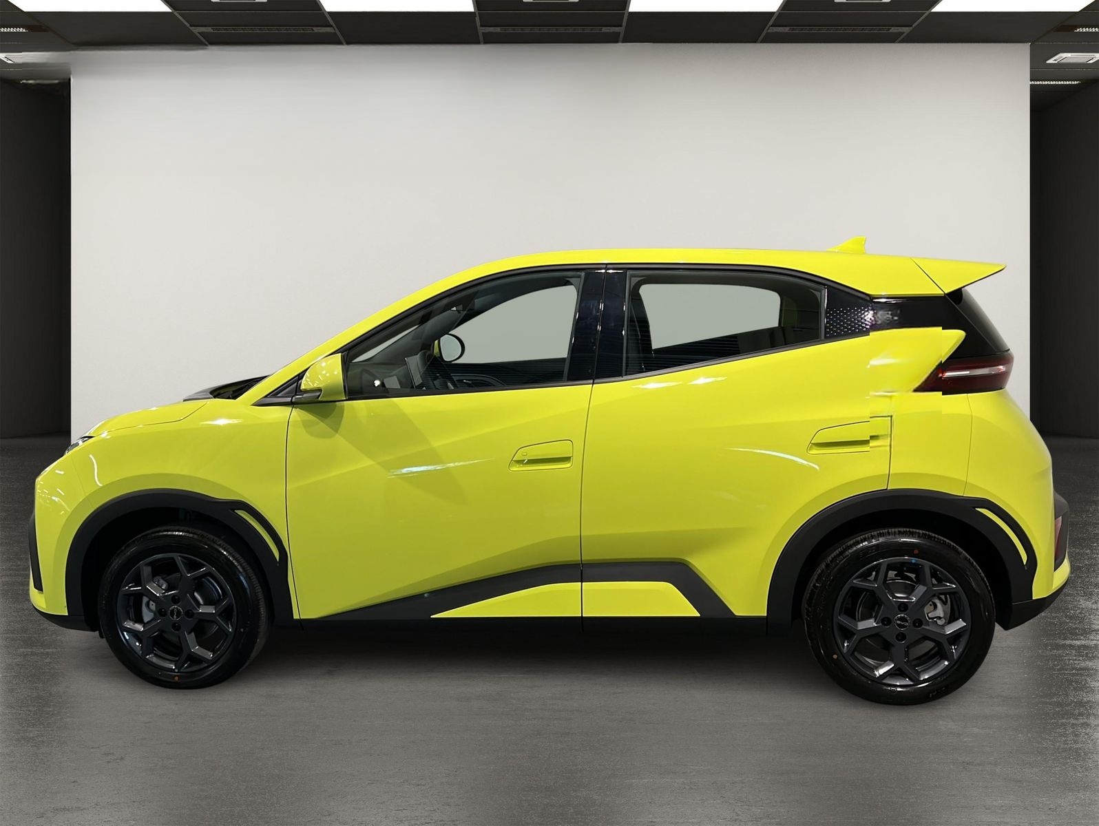 BYD Dolphin Surf Boost ACC | KAMERA | LEDER foto 3