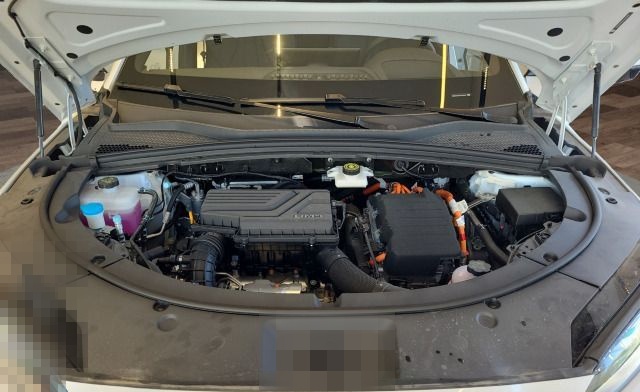 BYD Seal U DM-i Design*LED*Navi*Pano*DAB*APP*Kamera foto 21