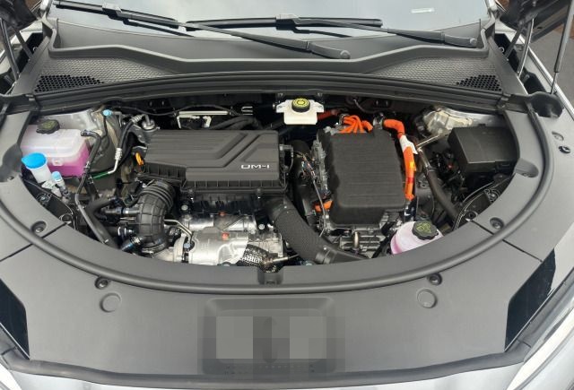 BYD Seal U DM-i Design*LED*Navi*Pano*DAB*APP*Kamera foto 21