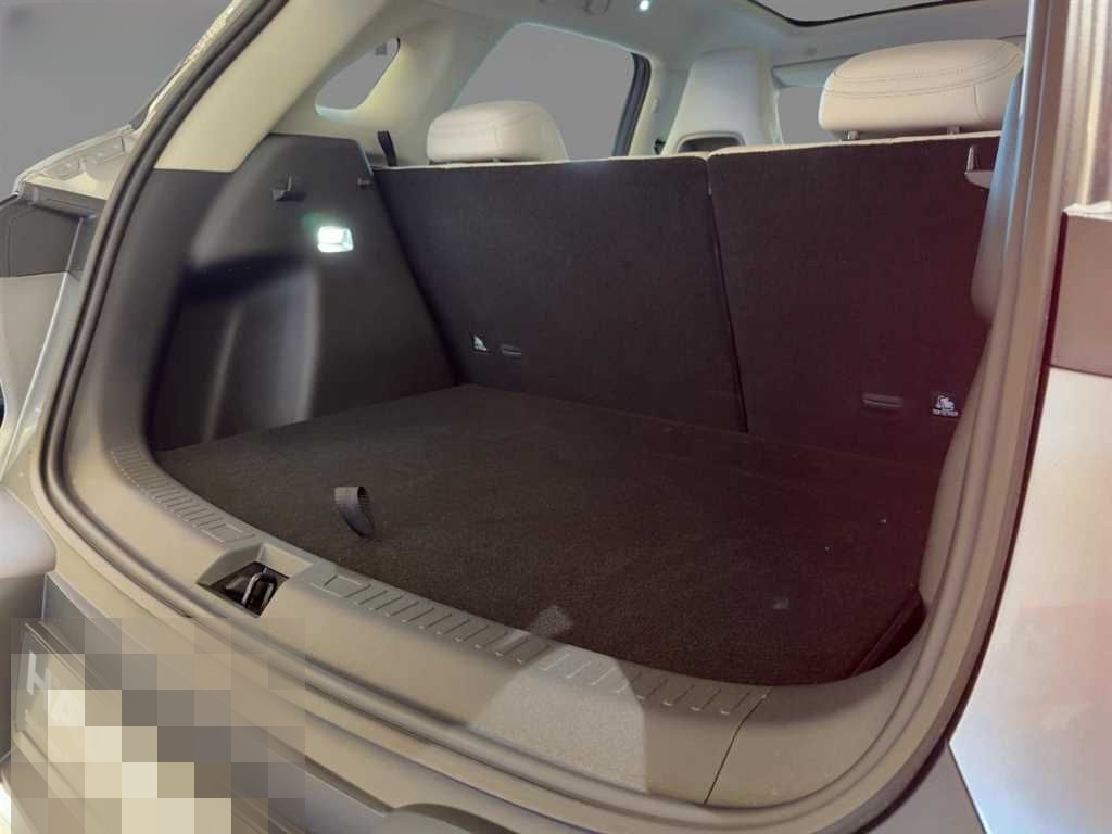 BYD ATTO 2 Active Glasdach Leder Navi  foto 5