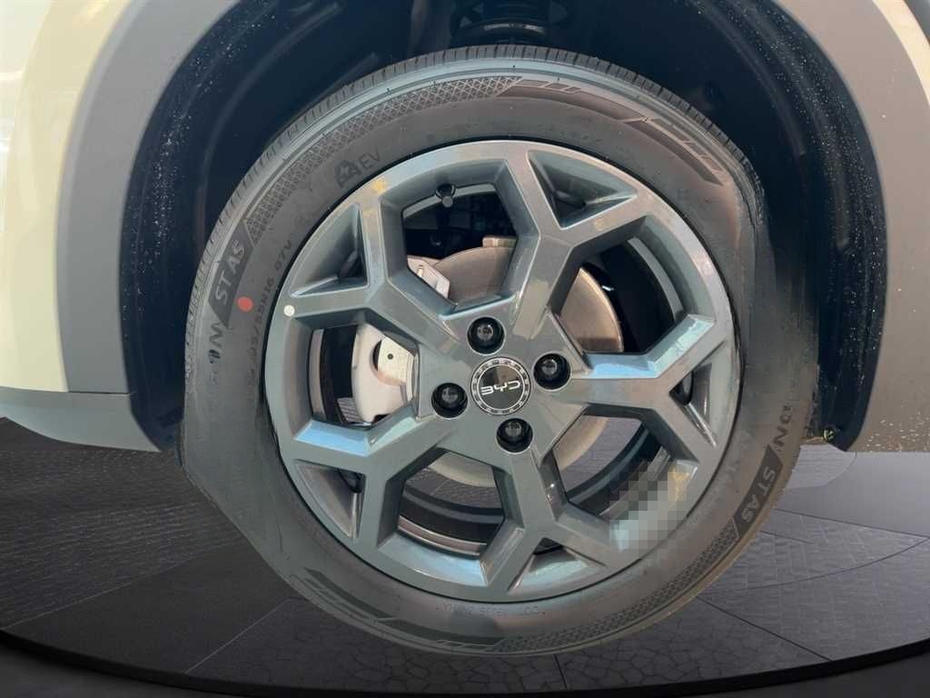 BYD DOLPHIN SURF Boost CarPlay Klima Navi Leder  foto 11