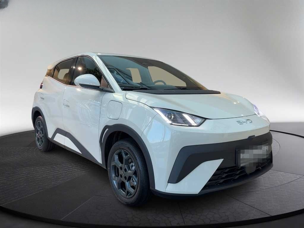 BYD DOLPHIN SURF Boost CarPlay Klima Navi Leder  foto 4