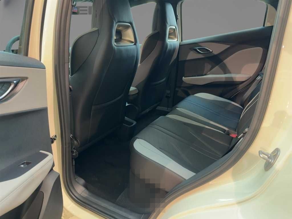 BYD DOLPHIN SURF Boost CarPlay Klima Navi Leder  foto 7