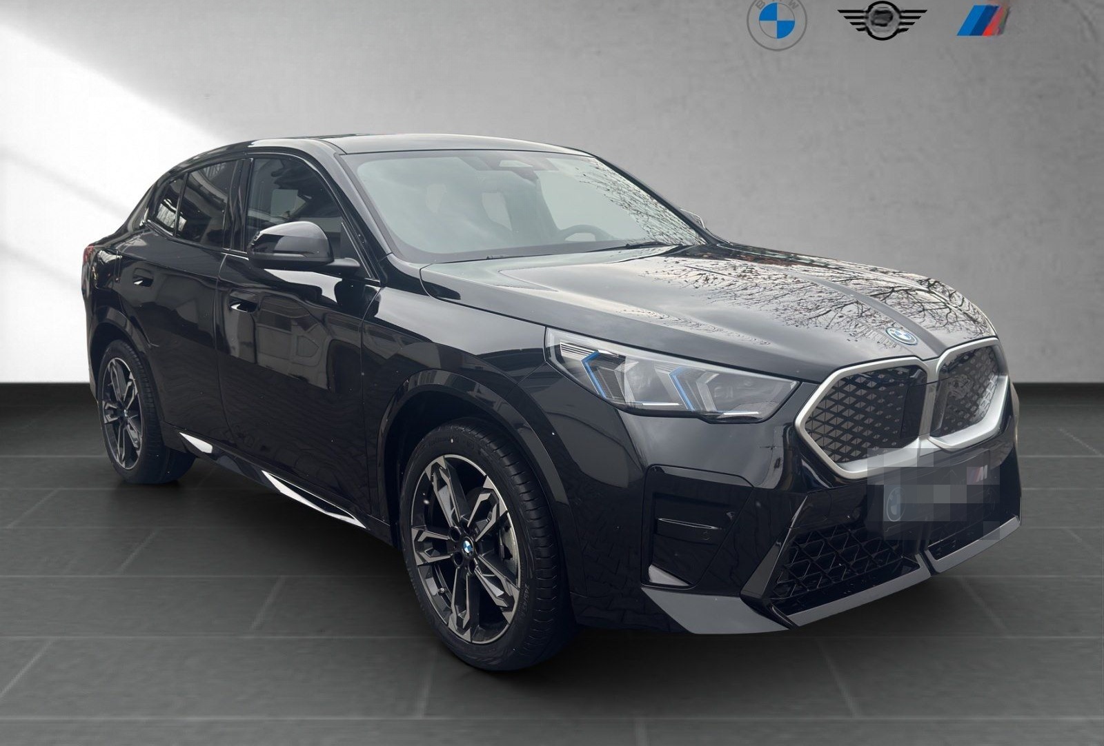 BMW iX2 eDrive20 M Sport AHK Premium 19" foto 4