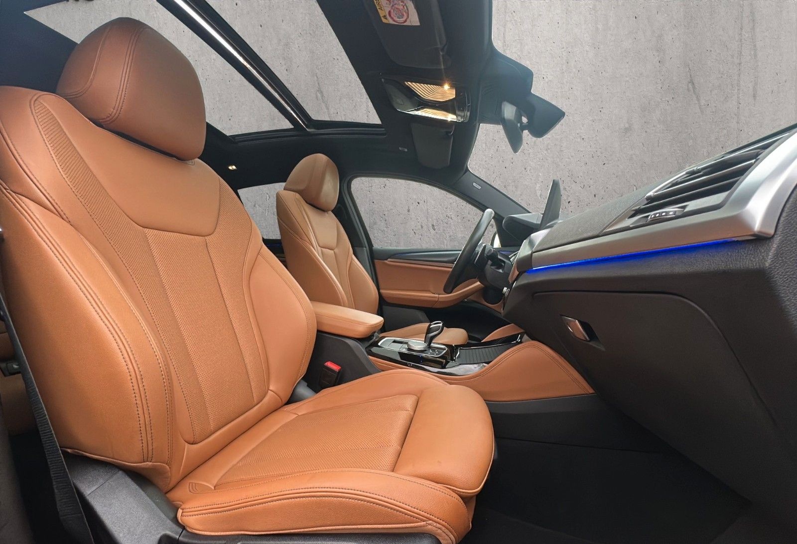 BMW X4 xDrive 30 d M Sport LED Pano RFK AHK 20LM foto 16
