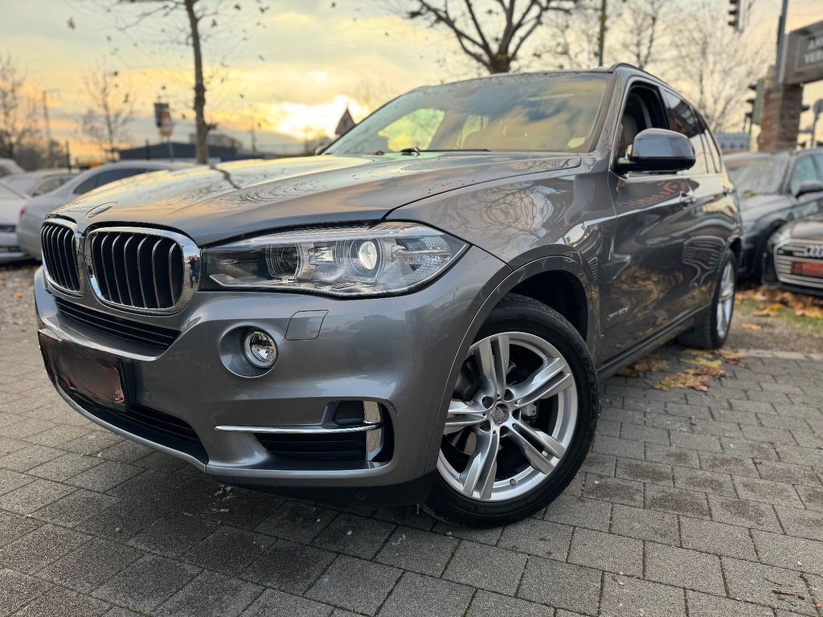 BMW X5 xDrive 30 d/Pano/Navi/LED foto 2