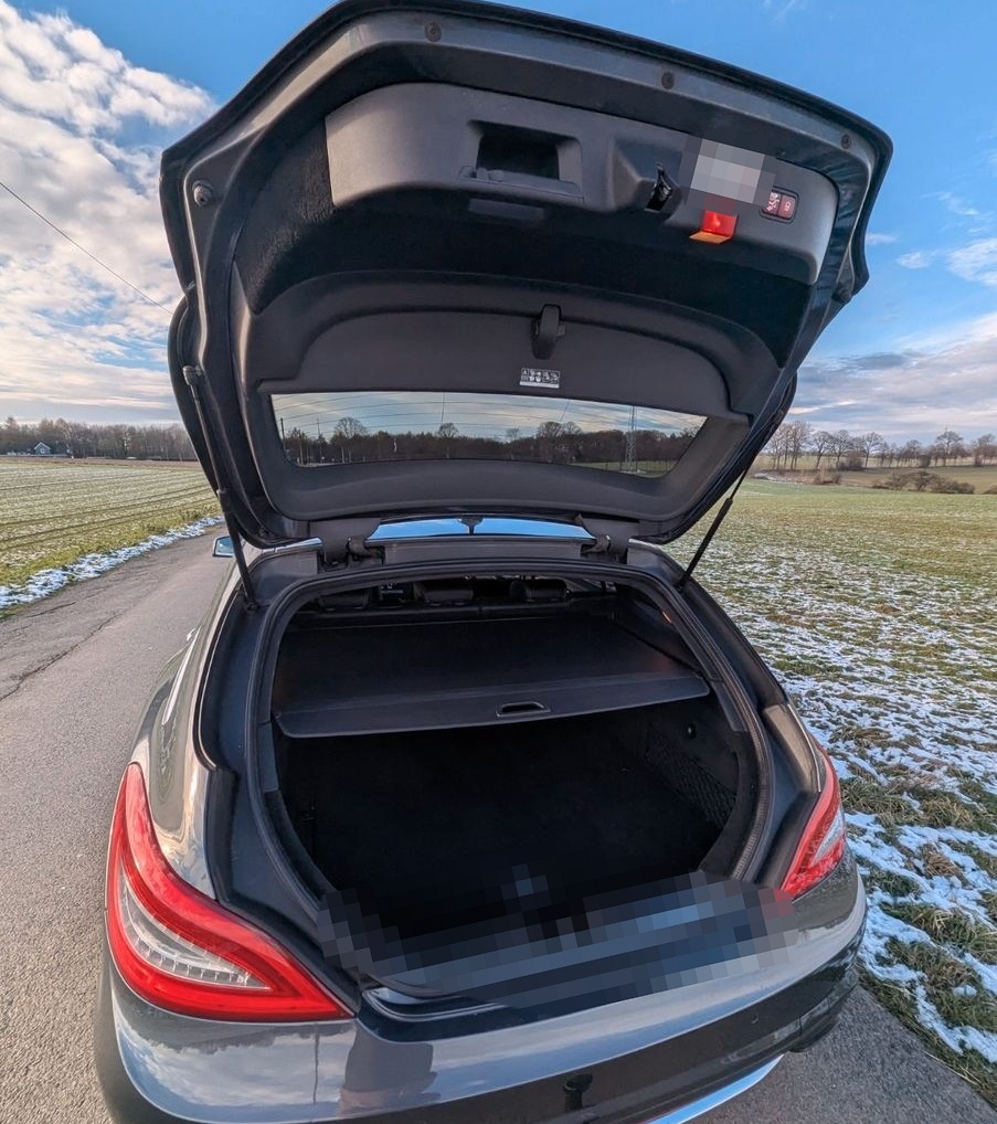 Mercedes-Benz CLS 350 Shooting Brake CLS 350 CDI 4MATIC Sh... foto 10