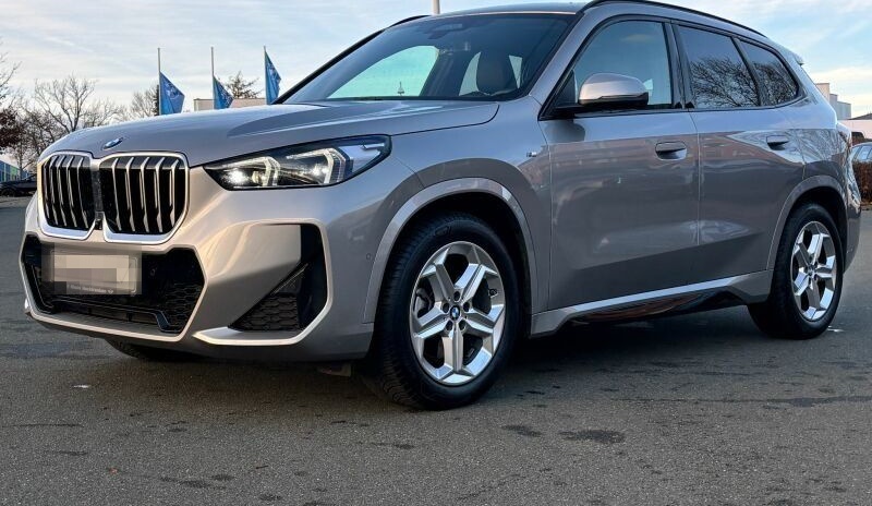 BMW X1 sDrive20i M Sportpaket ACC 360 HUD PANO H/K foto 6