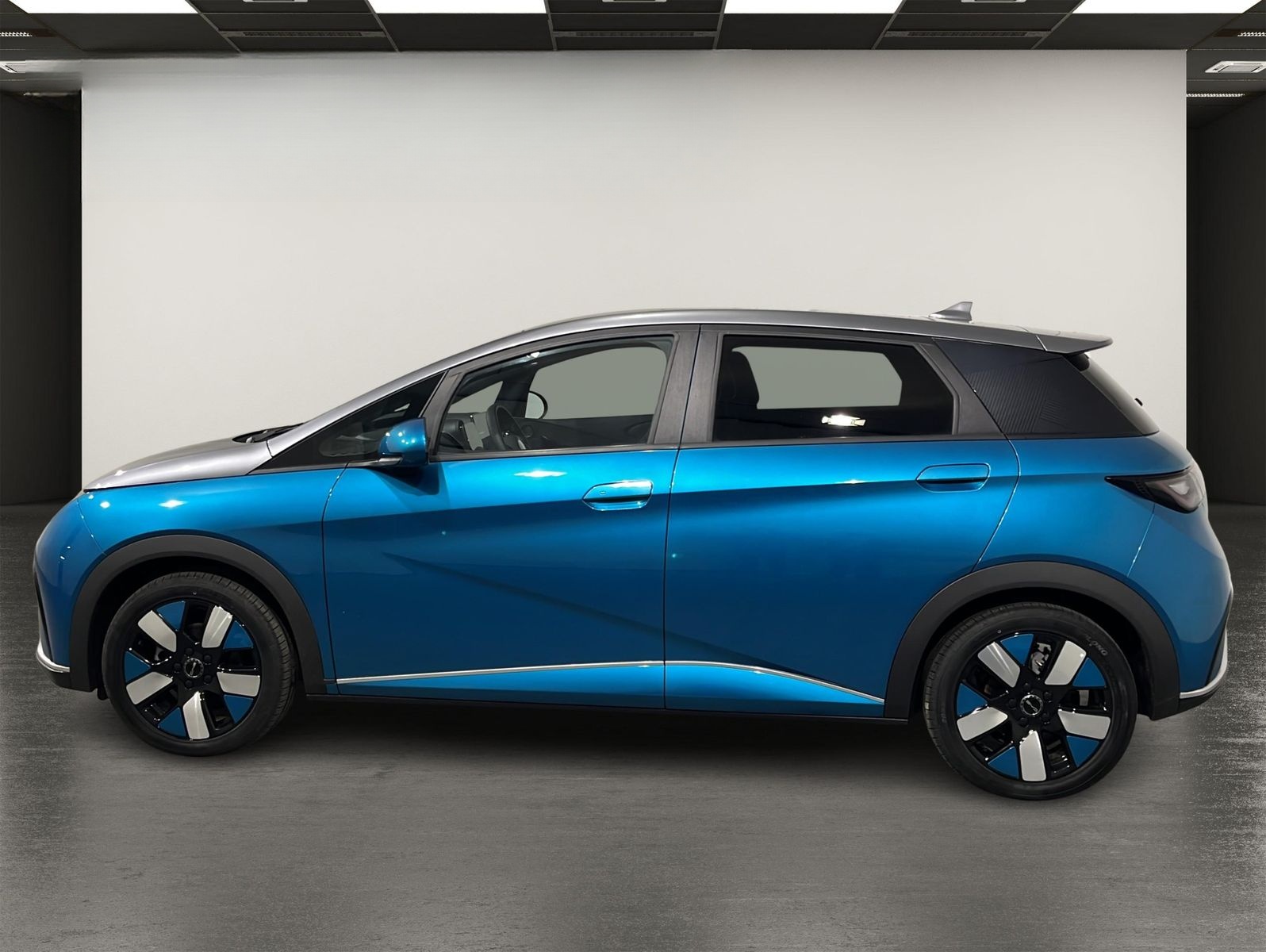 BYD Dolphin Ocean Aesthetics | SHZ | PANO | 360° foto 3