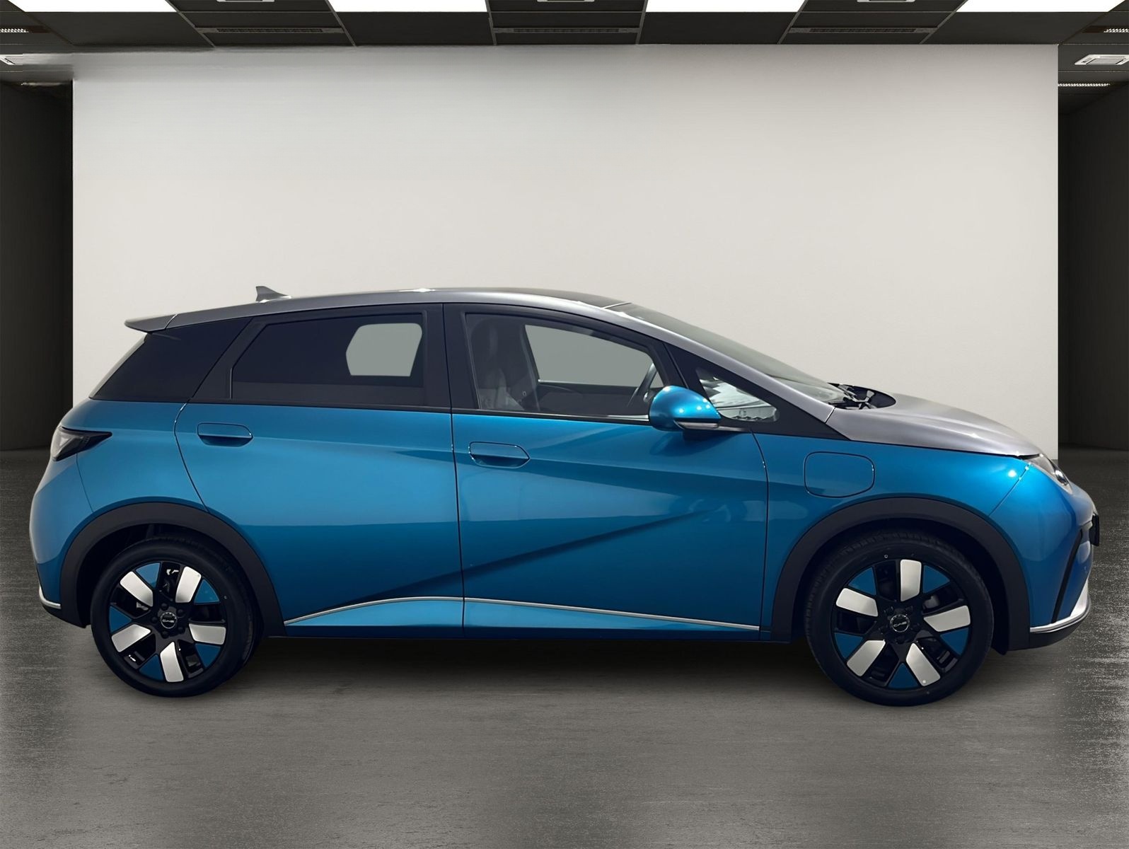 BYD Dolphin Ocean Aesthetics | SHZ | PANO | 360° foto 13