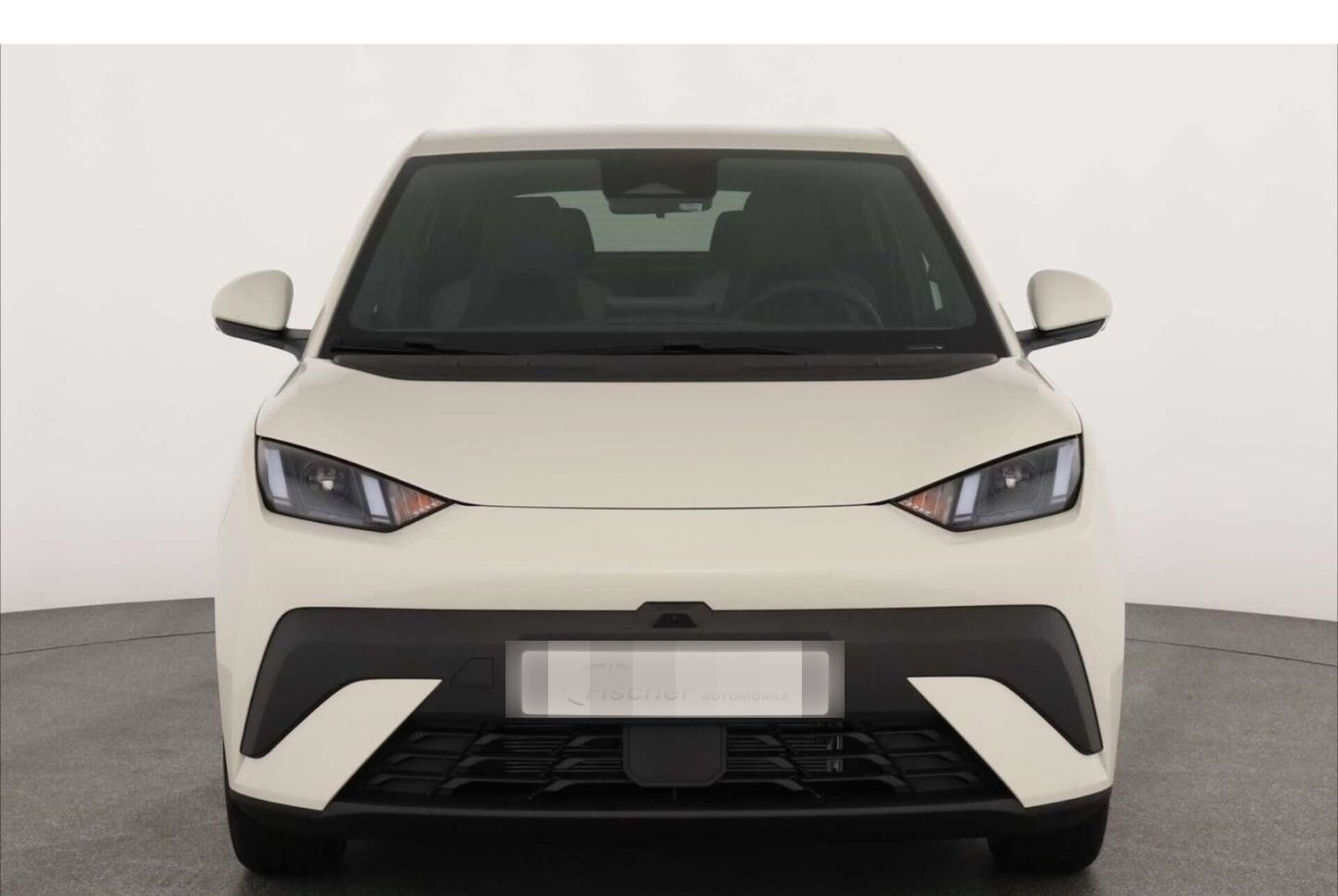 BYD Dolphin Surf Comfort LP: 32.449,- /Top-View/SHZ/ foto 3