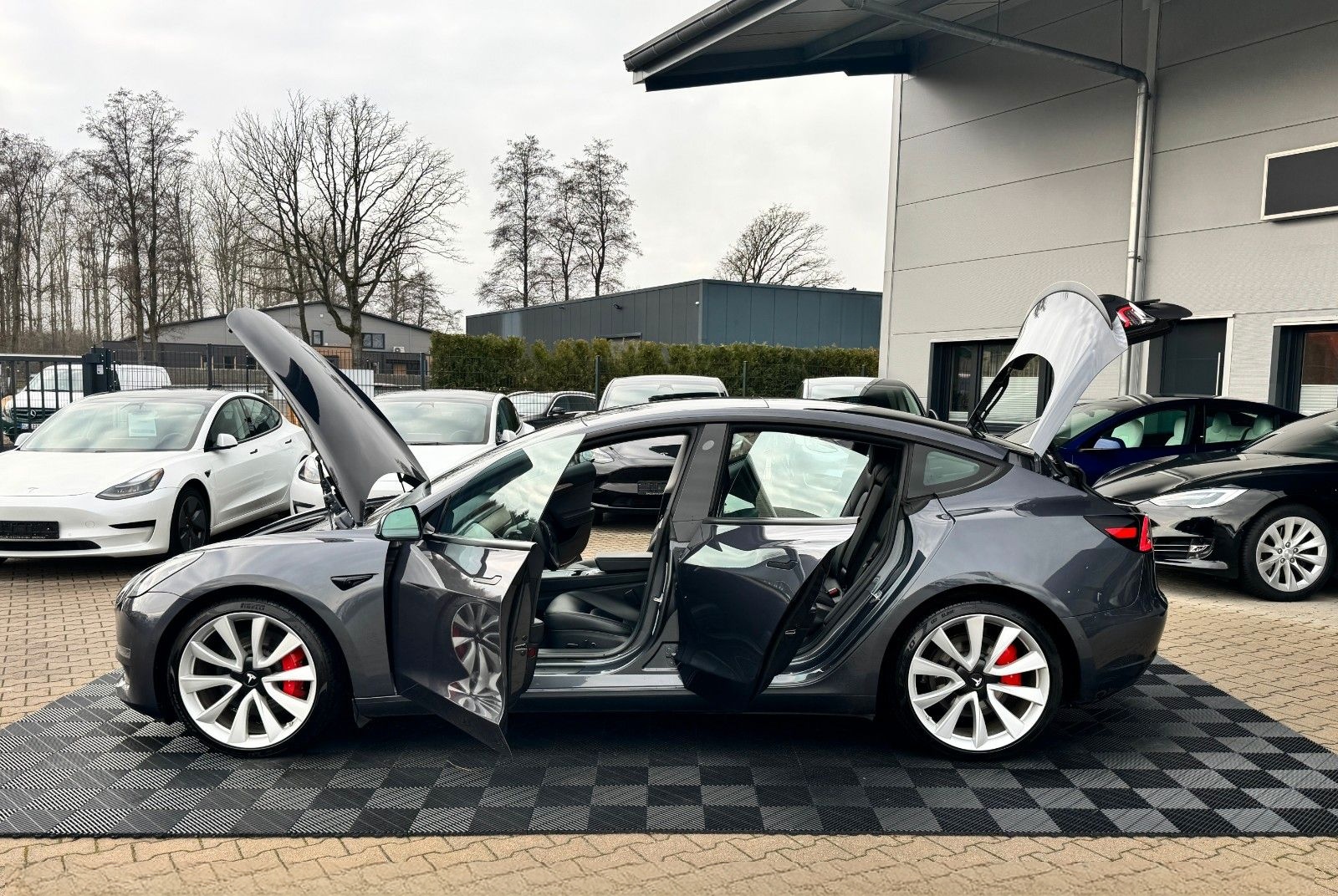 Tesla MODEL 3 PERFORMANCE | ENHANCED AP | foto 14