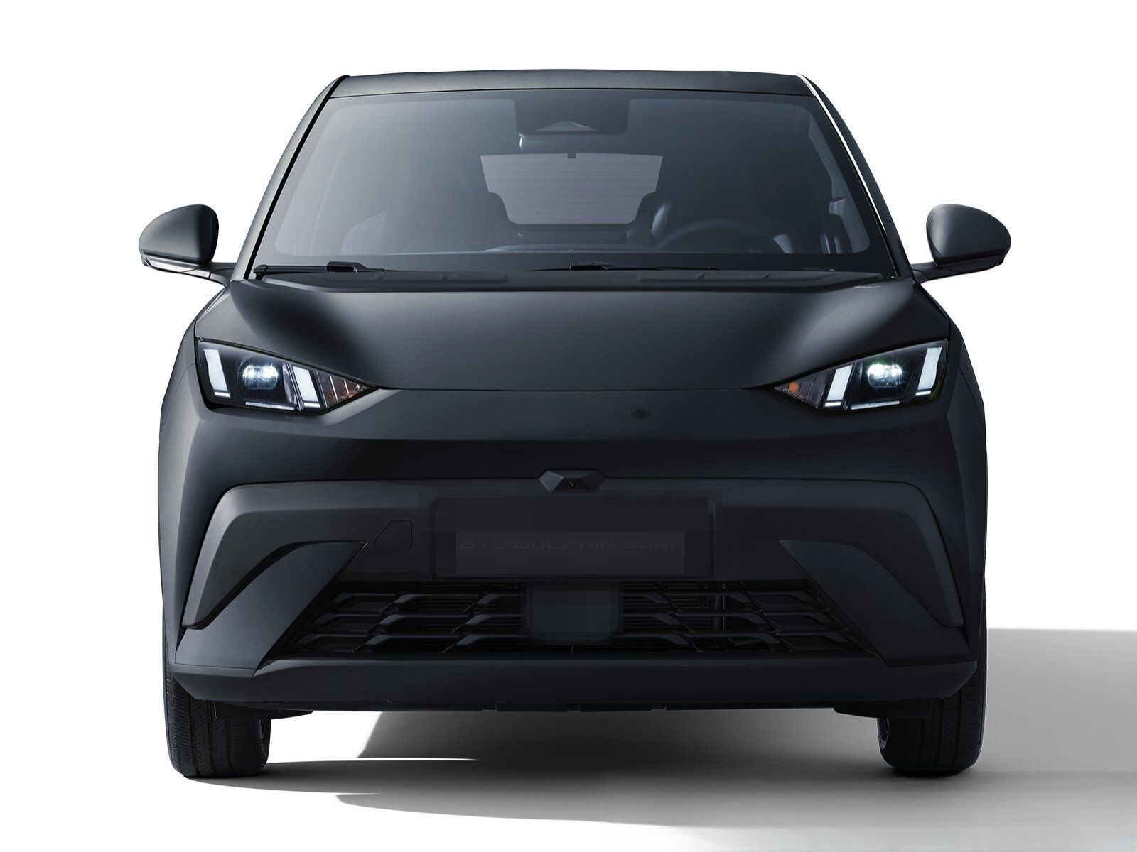 BYD Dolphin Surf Comfort ACC Leder 360° LED Sitzhzg foto 2