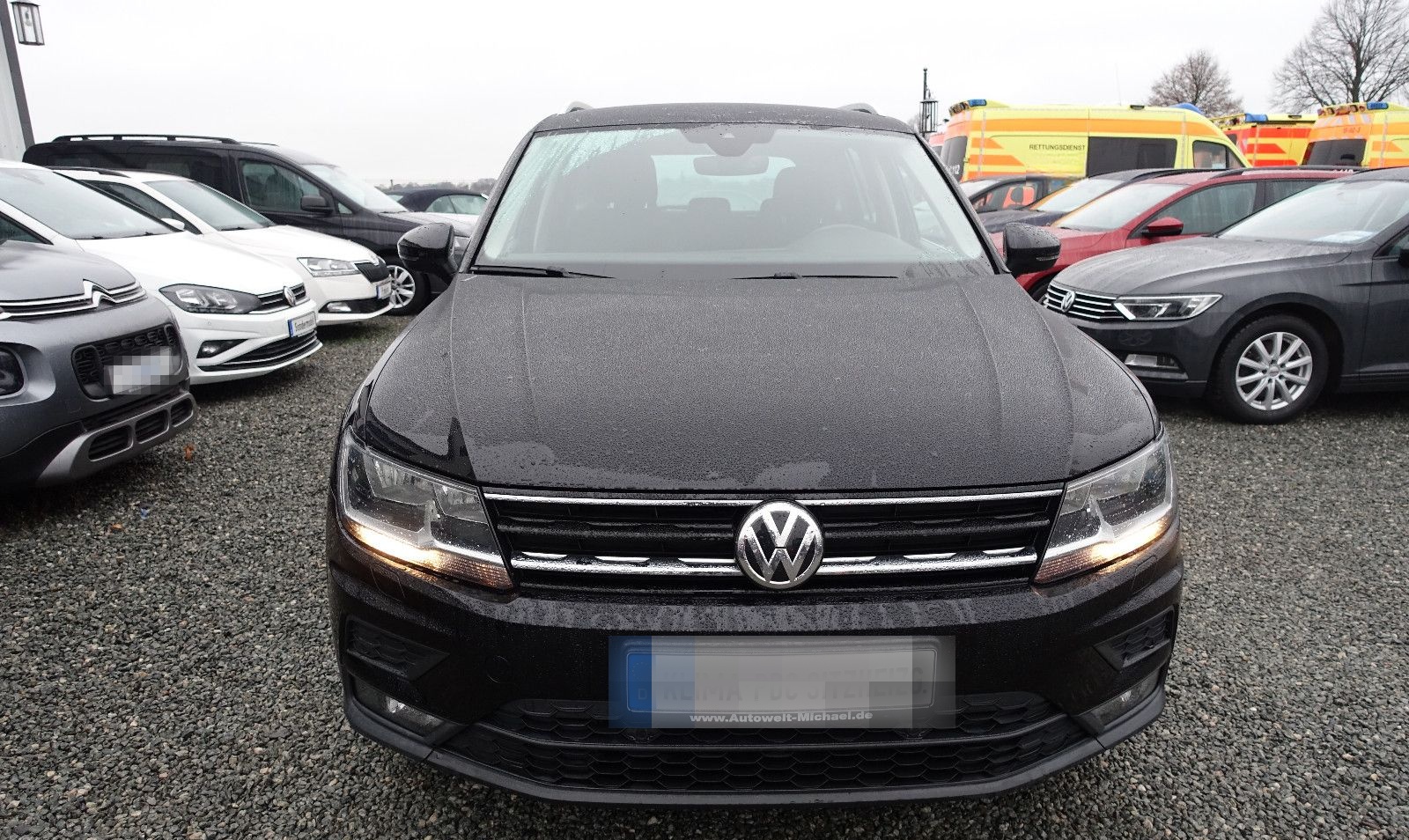Volkswagen Tiguan 2.0 TDI Aut. ACC NAV SITZH Insp.+TÜV NEU foto 3