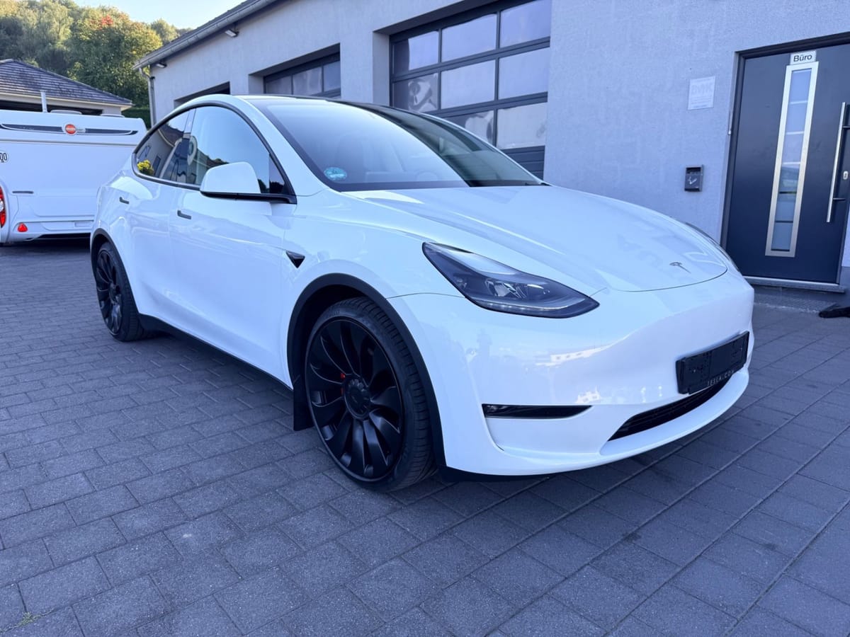 Tesla Model Y Performance RYZEN AHK 1.Hand