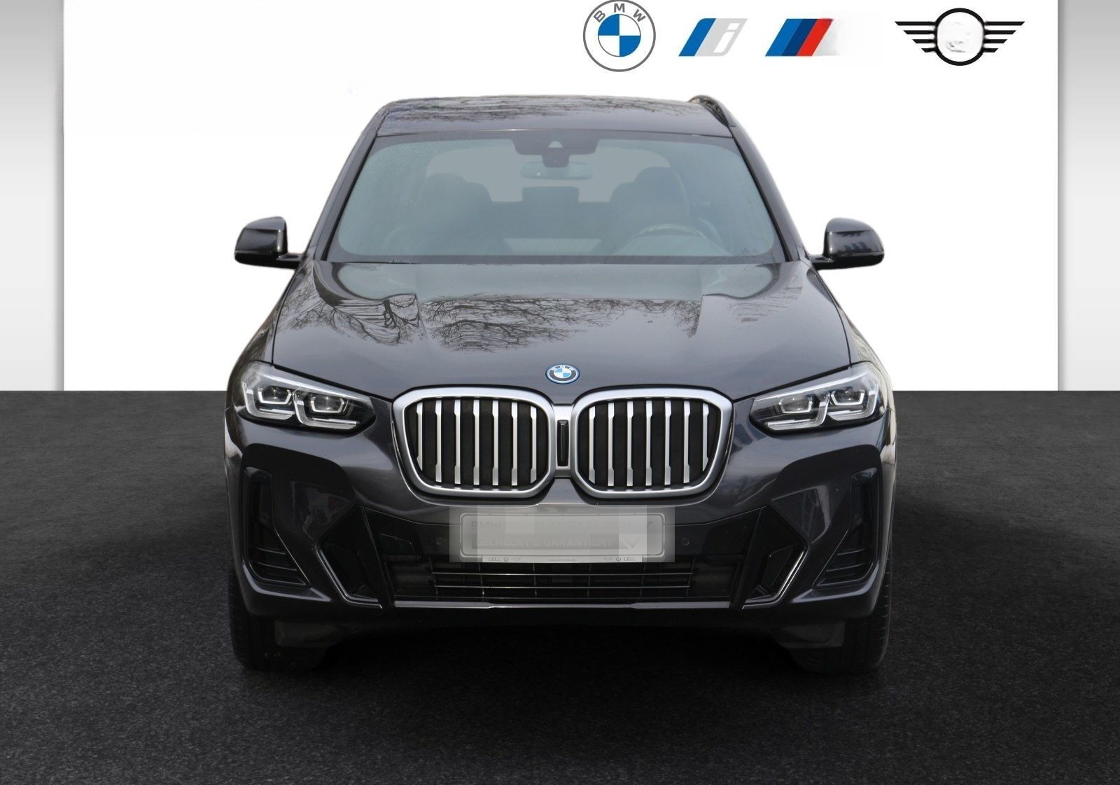 BMW X3 xDrive30e M Sportpaket HiFi DAB LED WLAN Shz foto 2