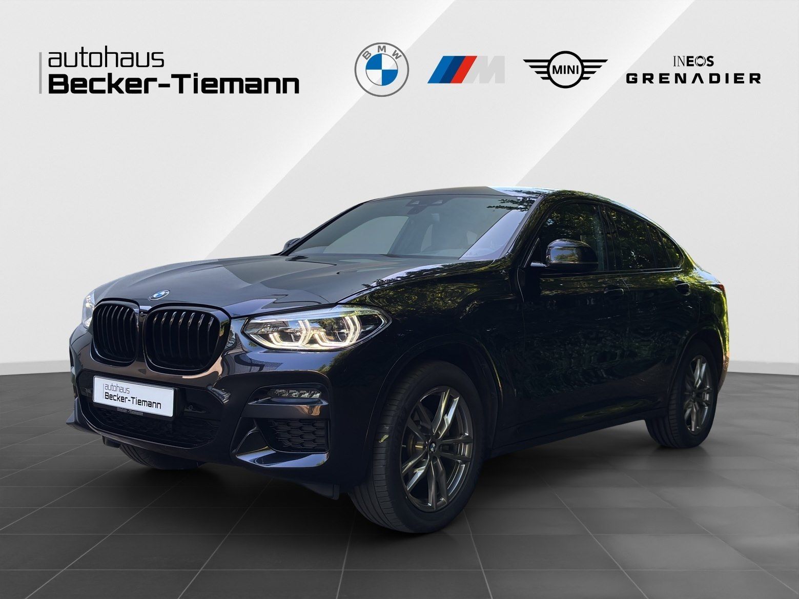 BMW X4 xDrive20i M Sport AHK HiFi LED Navi foto 1