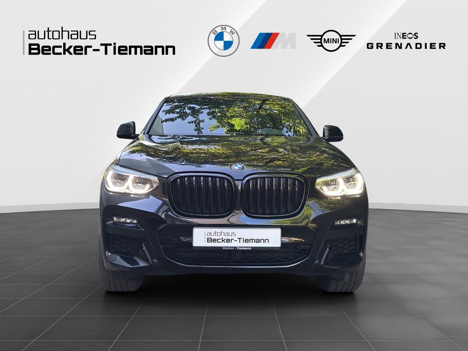 BMW X4 xDrive20i M Sport AHK HiFi LED Navi foto 2