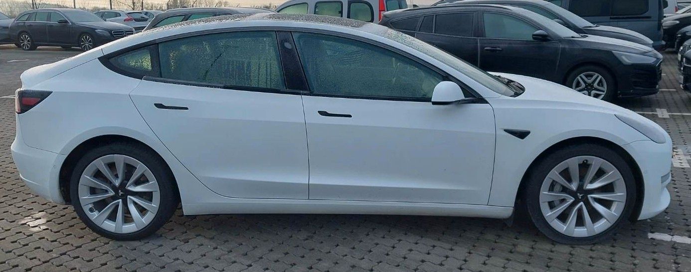 Tesla Model 3 Long Range Dual AWD 19* Pano LED foto 4