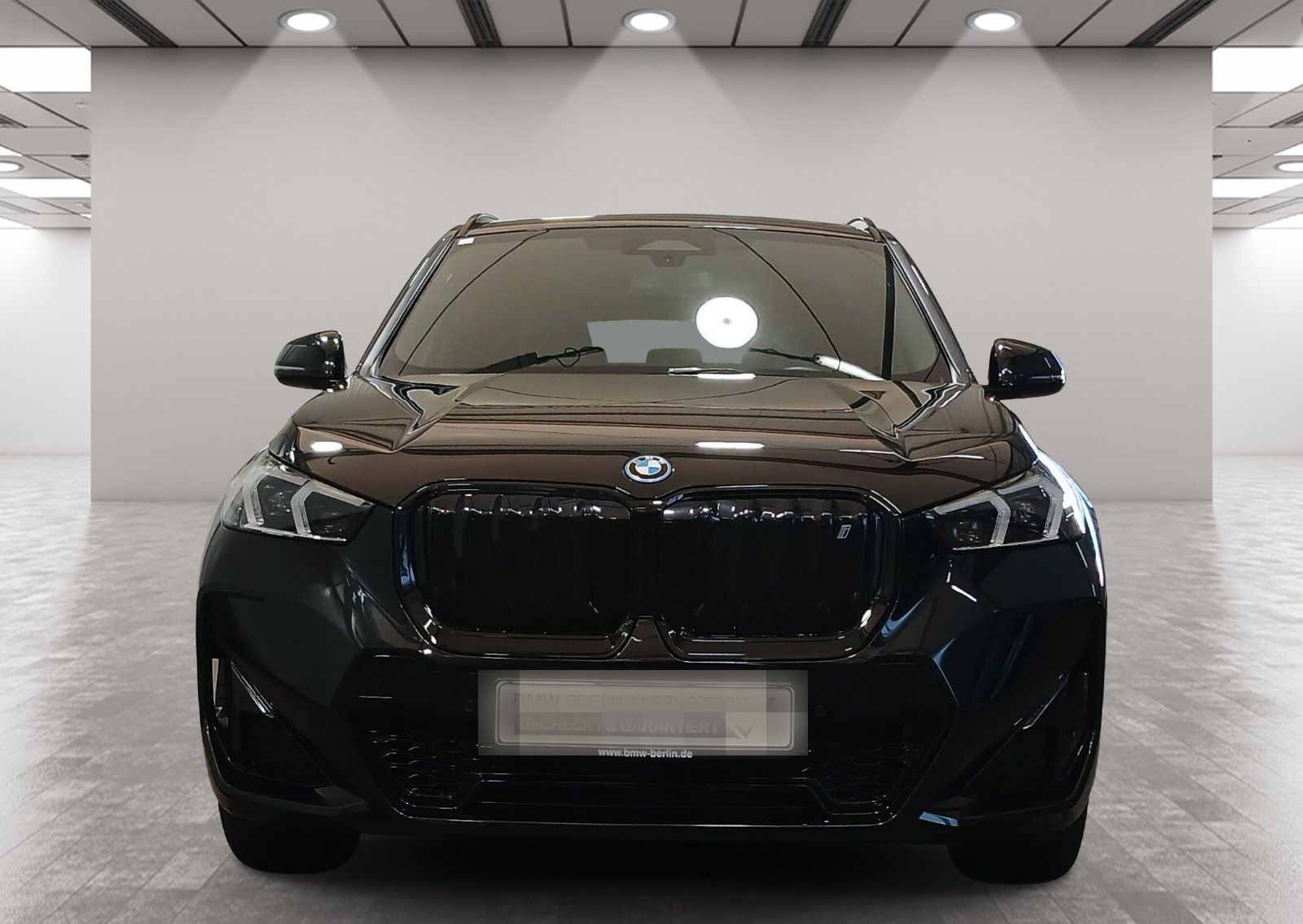 BMW iX1 xDrive30 M Sport Kamera Driv.Assist LED foto 4
