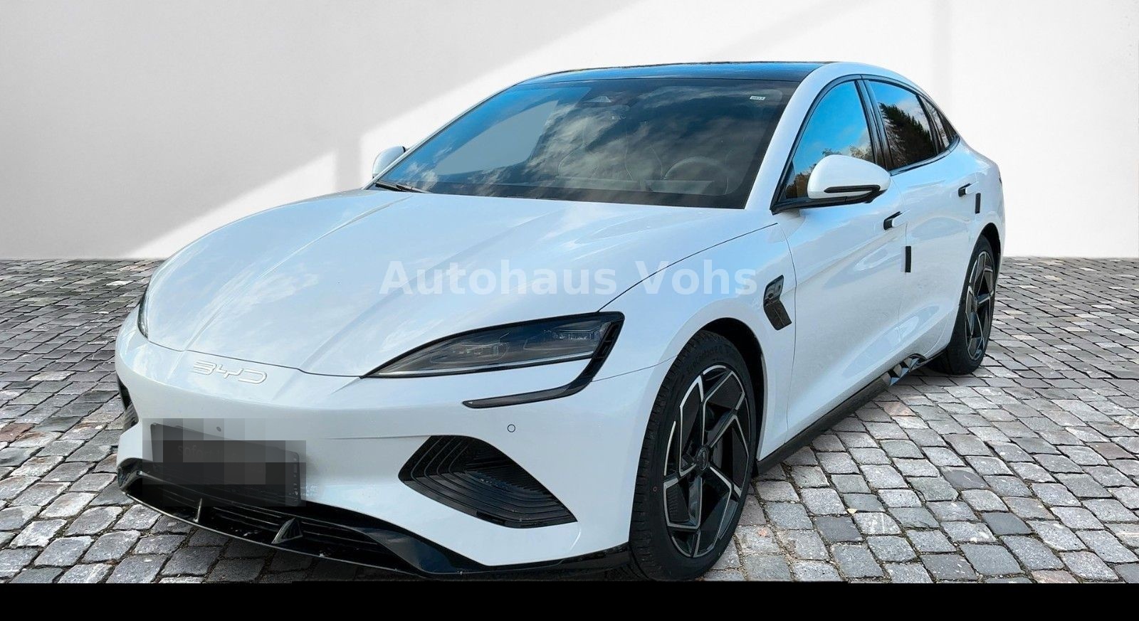 BYD SEAL Design|LHZ|Pano|Memory*verschiedene Farben* foto 5