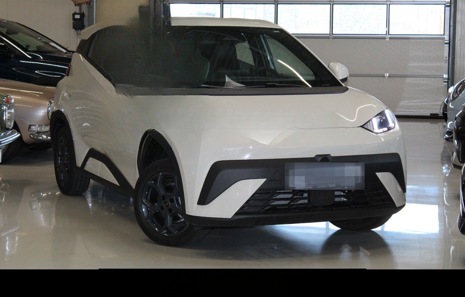 BYD Dolphin Surf Boost 43kWh|ACC*verschiedene Farben foto 3