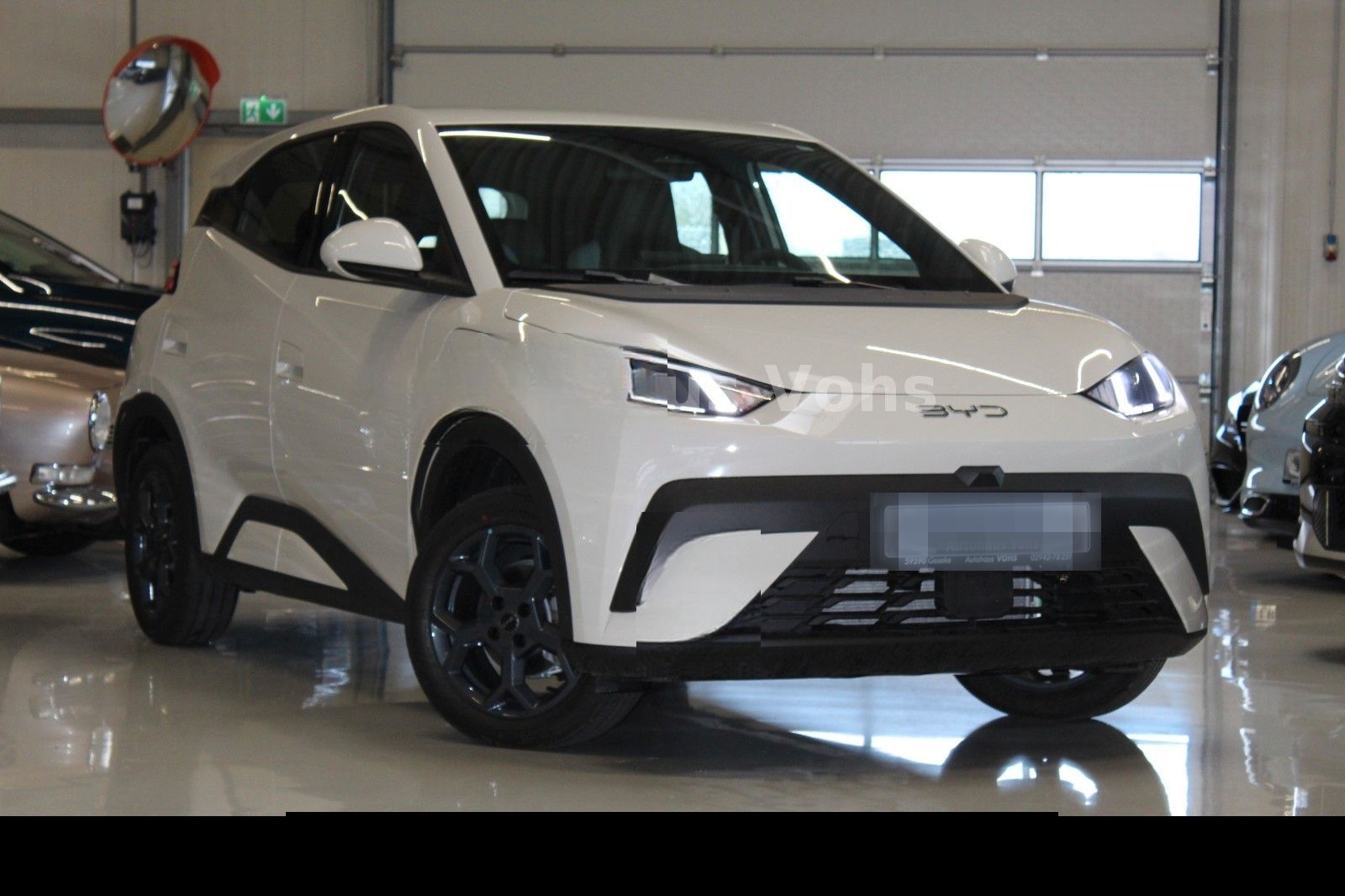 BYD Dolphin Surf Boost 43kWh|ACC*verschiedene Farben foto 4