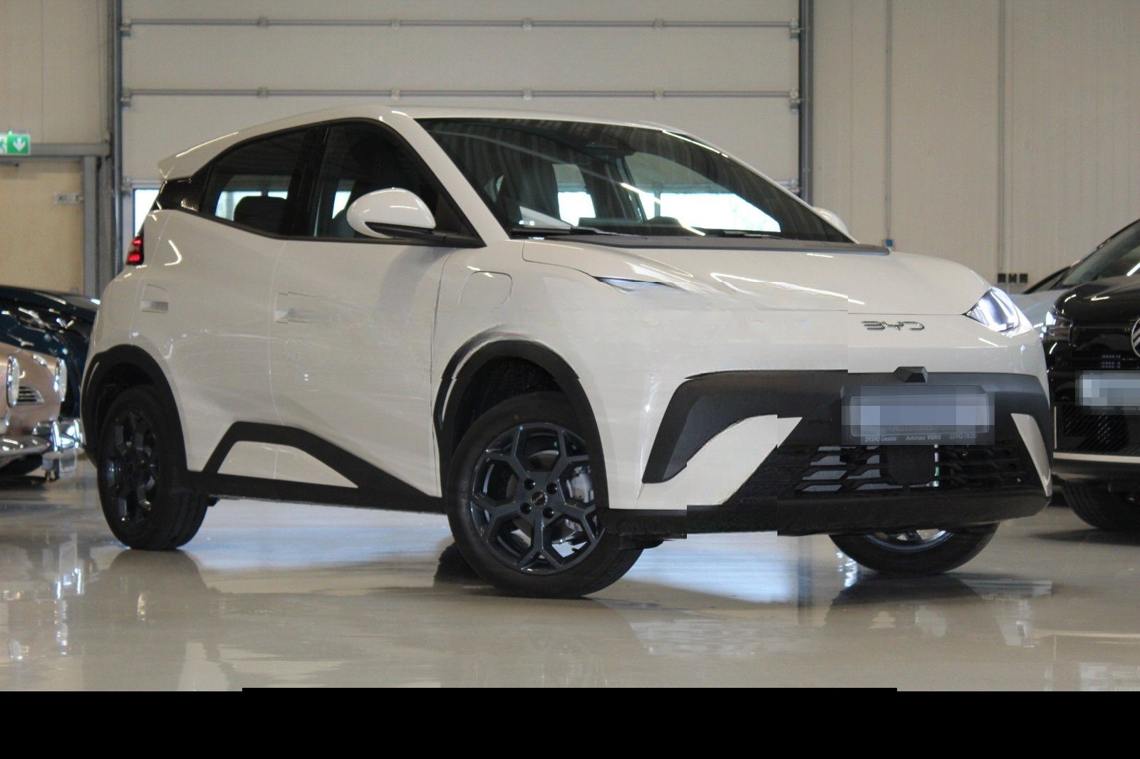 BYD Dolphin Surf Boost 43kWh|ACC*verschiedene Farben foto 5