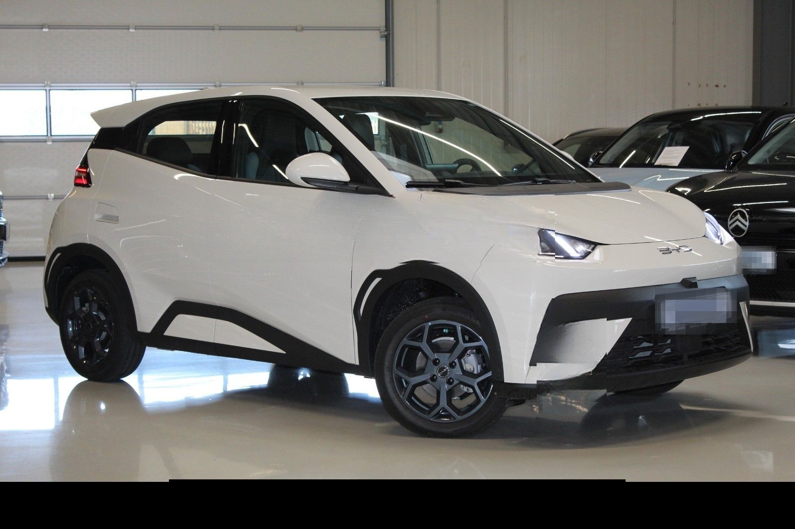 BYD Dolphin Surf Boost 43kWh|ACC*verschiedene Farben foto 6