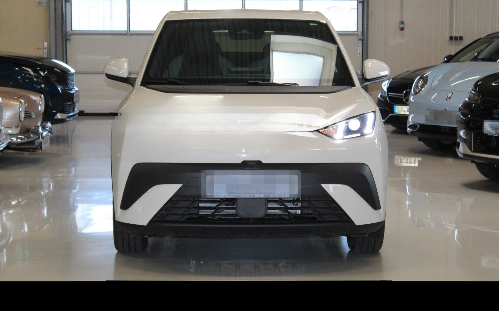 BYD Dolphin Surf Boost 43kWh|ACC*verschiedene Farben foto 7