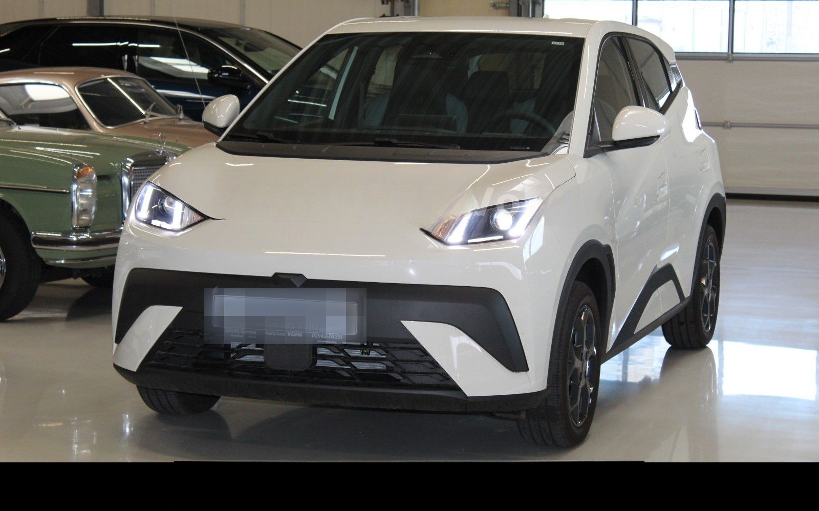 BYD Dolphin Surf Boost 43kWh|ACC*verschiedene Farben foto 8