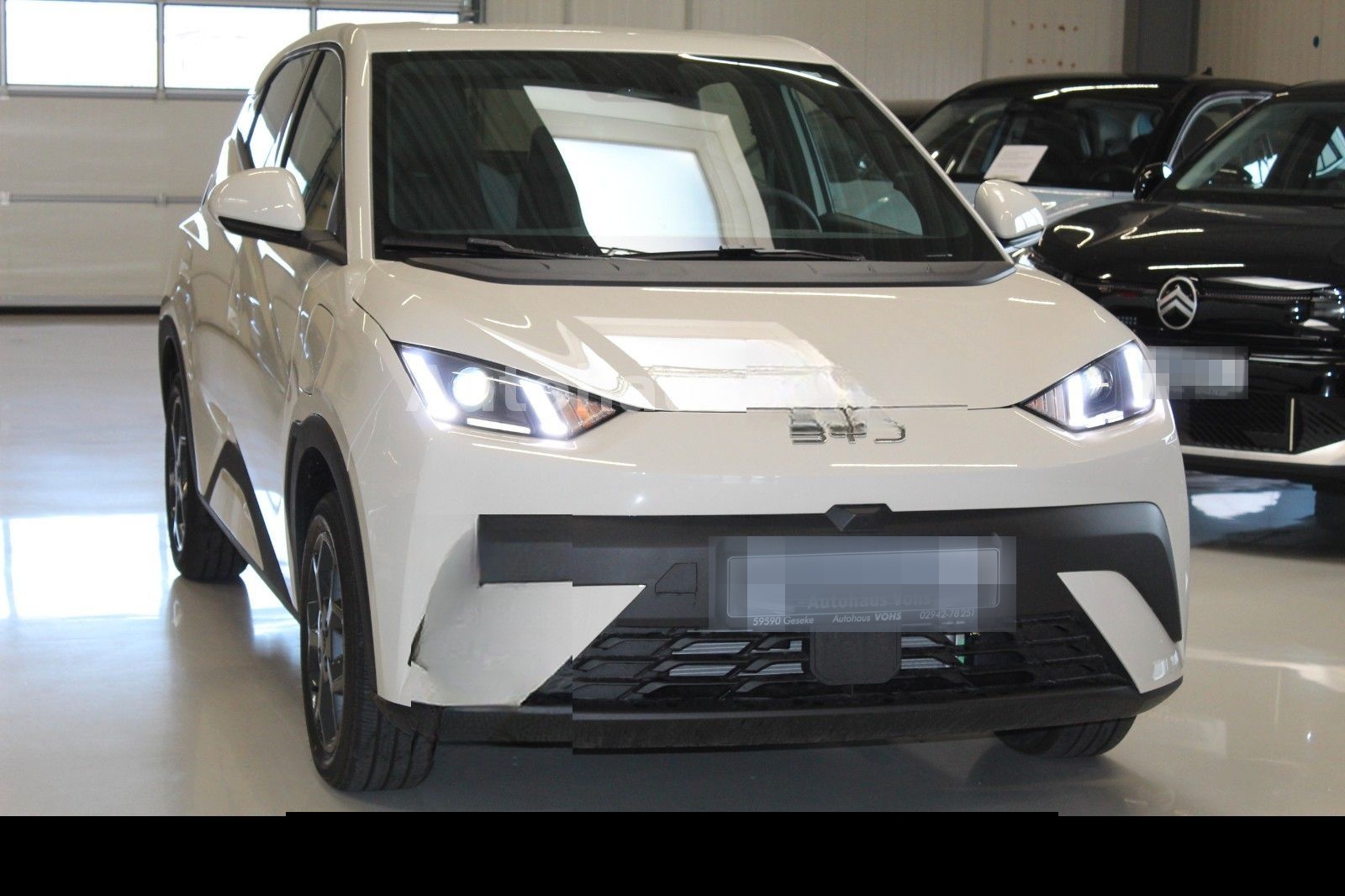 BYD Dolphin Surf Boost 43kWh|ACC*verschiedene Farben foto 9