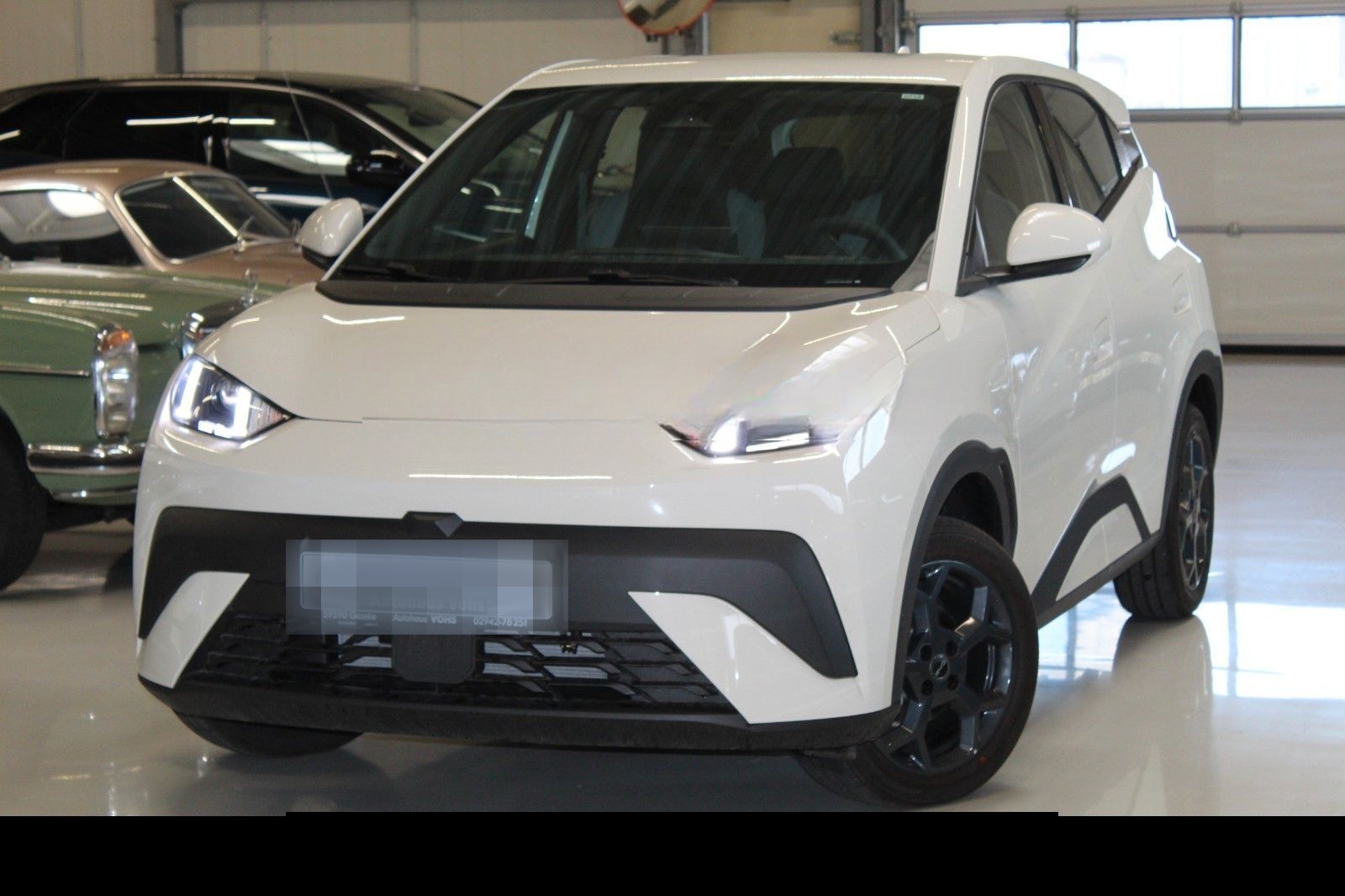 BYD Dolphin Surf Boost 43kWh|ACC*verschiedene Farben foto 10