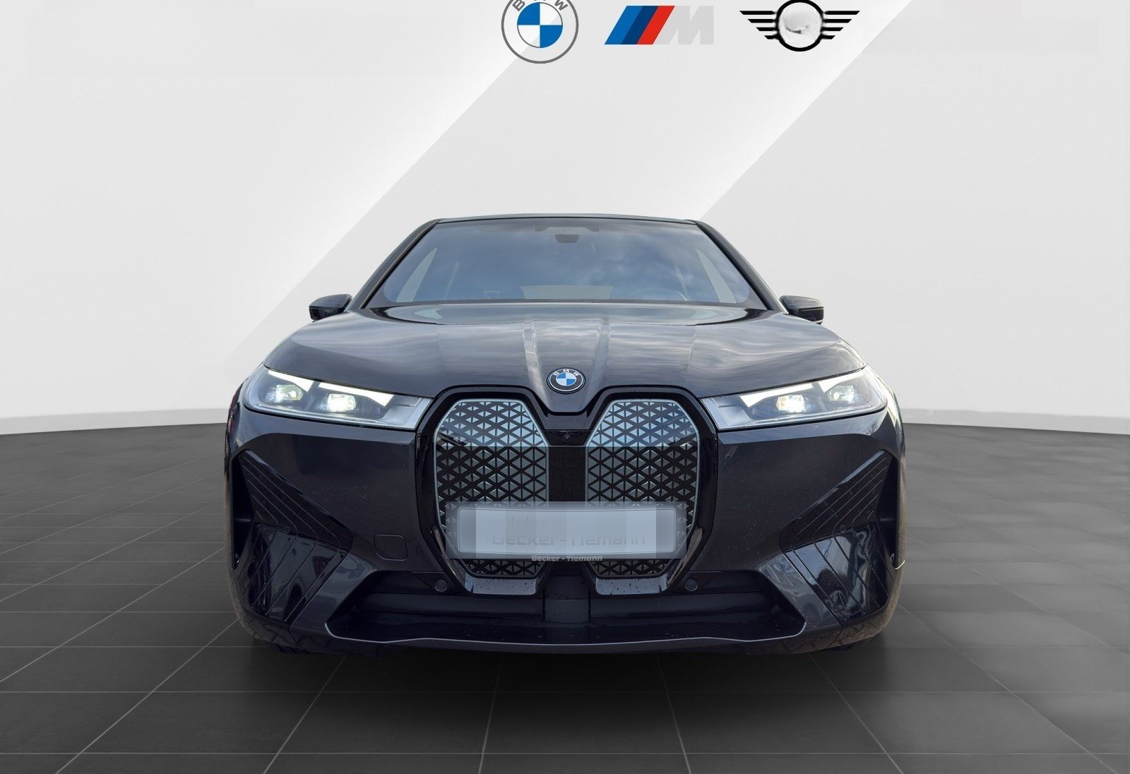 BMW iX xDrive50 Sportpaket/SkyLounge/B&W/AHK/Driving foto 2