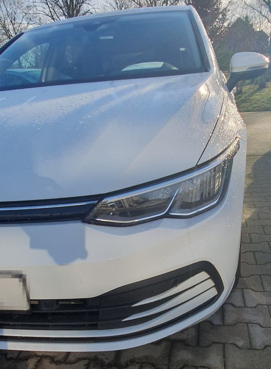 Volkswagen Golf VIII Lim. Life Ambilight Navi SH ALU AHK foto 4