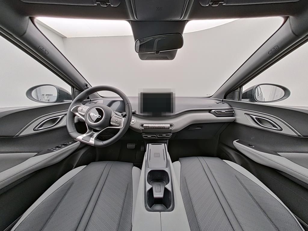 BYD DOLPHIN SURF Comfort foto 11