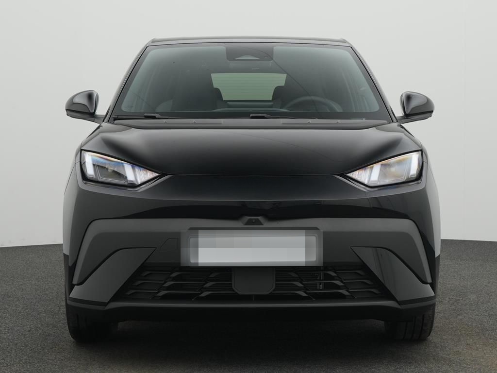 BYD DOLPHIN SURF Comfort foto 4