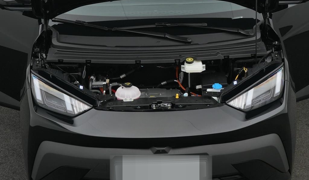 BYD DOLPHIN SURF Comfort foto 7