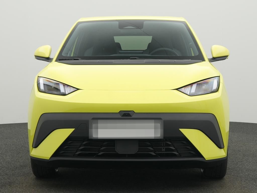 BYD DOLPHIN SURF Comfort foto 2