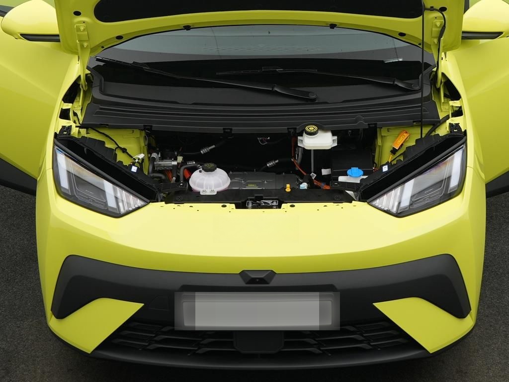 BYD DOLPHIN SURF Comfort foto 5