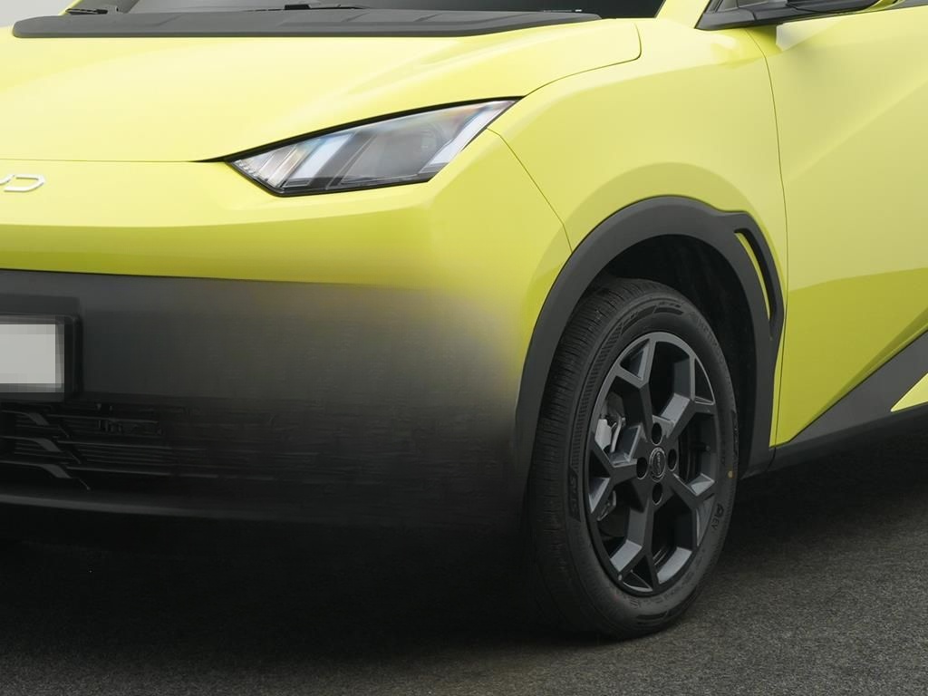 BYD DOLPHIN SURF Comfort foto 8