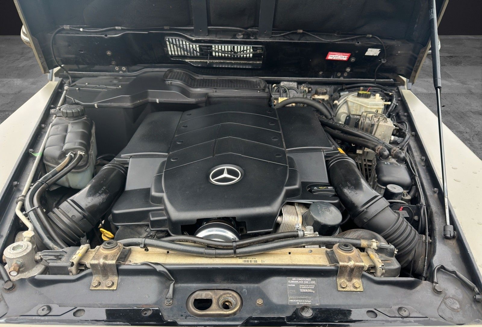 Mercedes-Benz G 500 INDIVIDUAL +KOMPRESSOR+KLAPPE foto 16