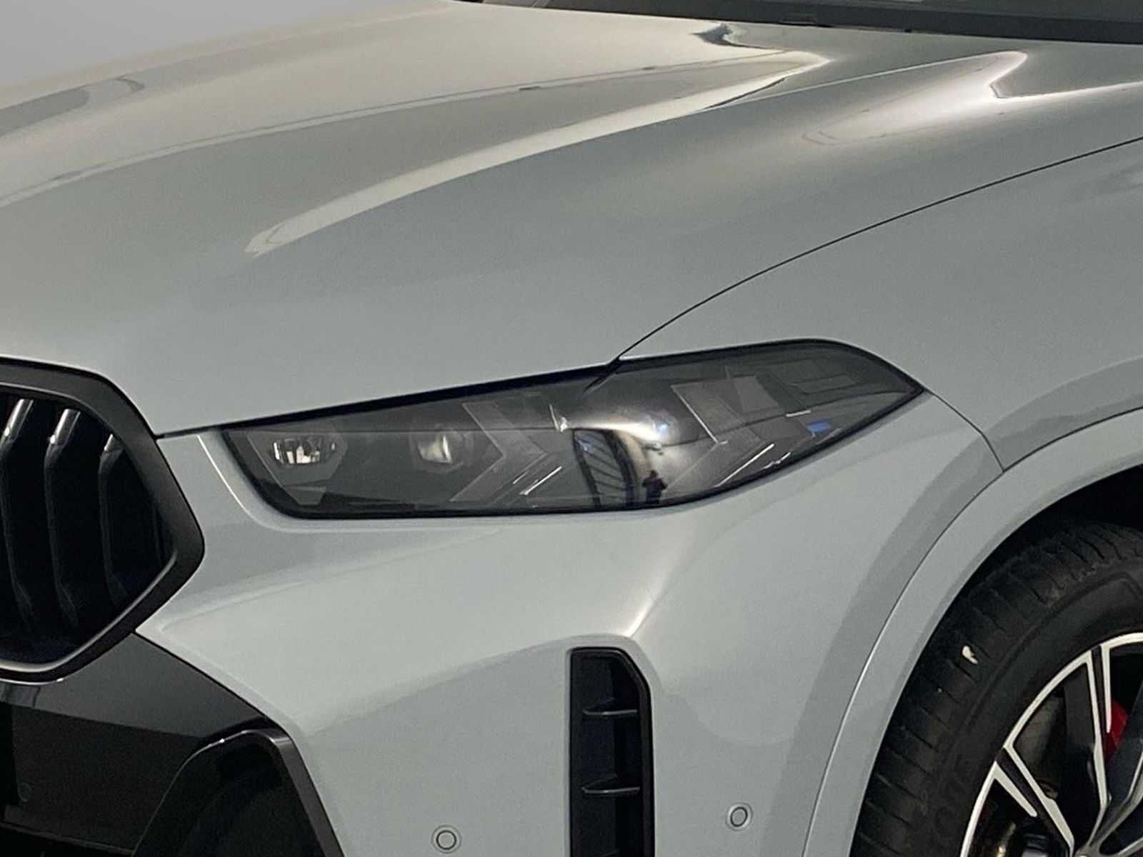 BMW X6 xDrive30d M Sport Massage Driv.Assist.Prof foto 5