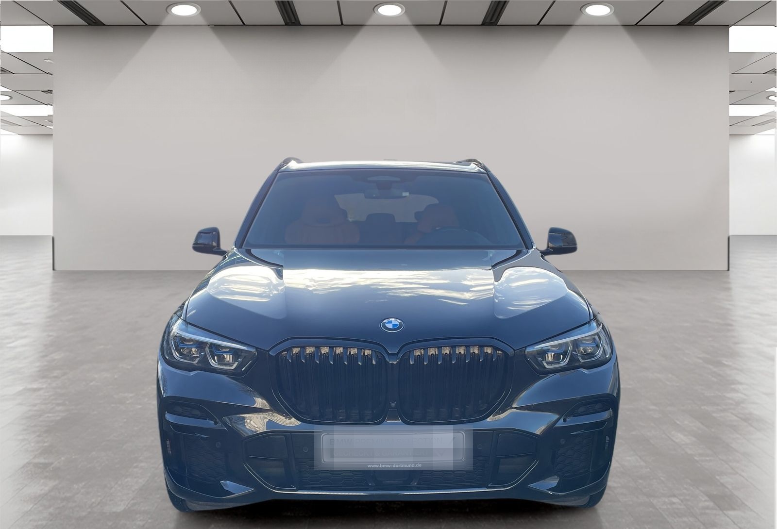BMW X5 xDrive25d M Sport AHK Driv.Assist.Prof Laser foto 5