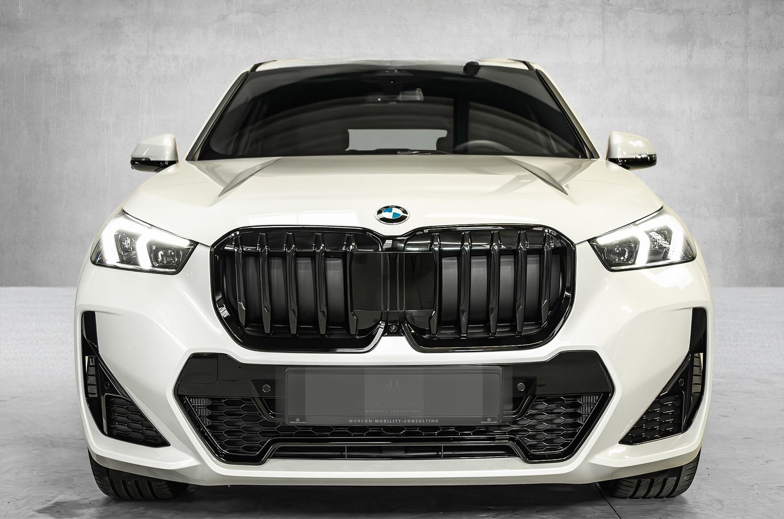 BMW X1 20 d xDrive M Sport|Parking Plus|Driving Plus foto 2